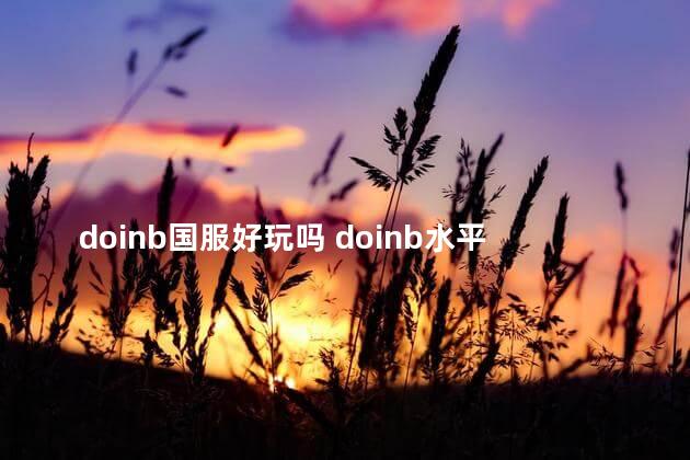 doinb国服好玩吗 doinb水平